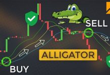 What Is The Alligator Indicator? How To Trade Forex Safely With It