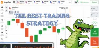 Chỉ Báo Alligator Là Gì? Hướng Dẫn Giao Dịch Với Alligator Hiệu Quả