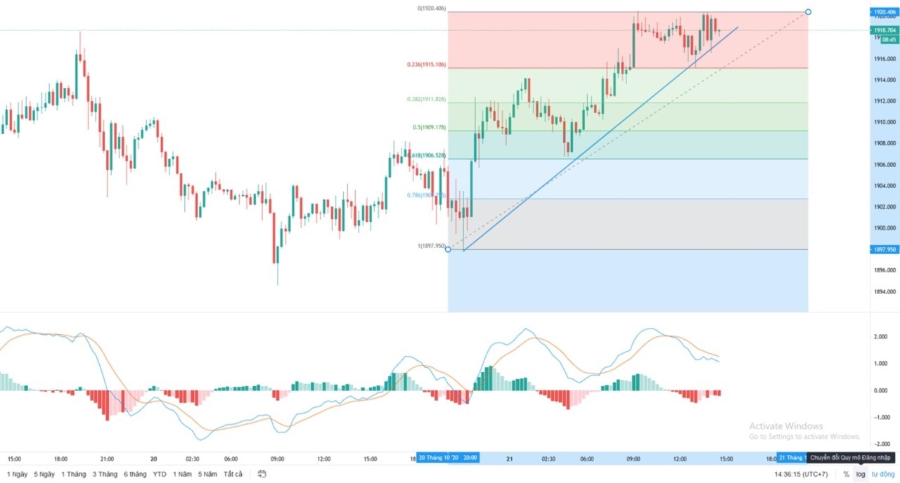 What is Technical Analysis? Learn how to study price charts and market trends in Forex.