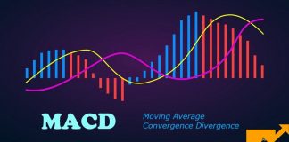 Apa Itu Indikator MACD? Bagaimana Menggunakannya Secara Efektif Dalam Forex