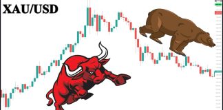Crowd Psychology: The Law Of Greed And Fear In The Market